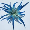 Indigo Dark Blue Air Plant Tillandsia Live Plant - 4-6" Tall Single - Image 1