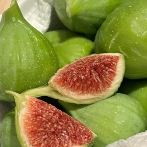 Kadota Fig Tree Live Plant 5-9 inch - Ficus carica - Sweet Edible Fruit - Zone 7-10 - Image 2
