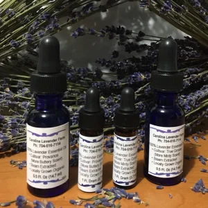 Lavender Essential Oil - 100% Pure Organic Steam Distilled for Aromatherapy - Image 1