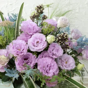Lisianthus Live Plant Voyage Series Plug - Rose-like Flowers for Garden & Decor - Image 7