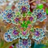 Mother of Millions Seeds – Kalanchoe tubiflora – Drought Tolerant Succulent Seeds – 25 Seeds - Image 1