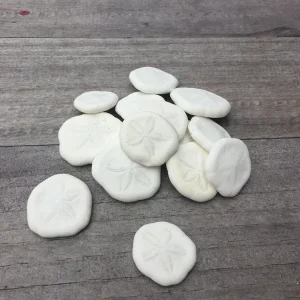 Natural Sand Dollars 1 inch - Bulk Sea Biscuits for Decor & Crafts - Image 1