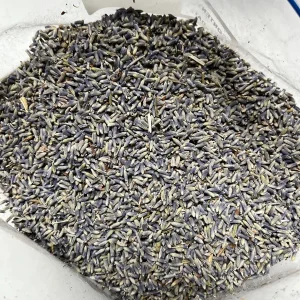 Organic Lavender Buds - Dried Culinary Grade for Skincare, Crafts & Home Fragrance - Image 4