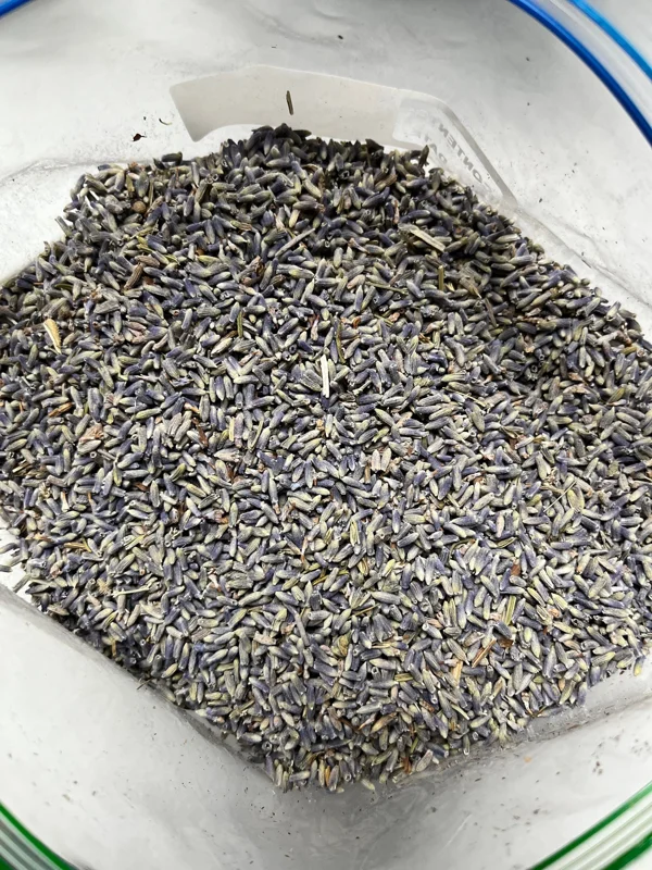 Organic Lavender Buds - Dried Culinary Grade for Skincare, Crafts & Home Fragrance - Image 4