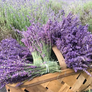Organic Lavender Buds - Dried Culinary Grade for Skincare, Crafts & Home Fragrance - Image 7