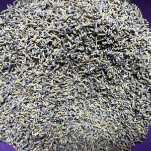 Organic Lavender Buds - Dried Culinary Grade for Skincare, Crafts & Home Fragrance - Image 1