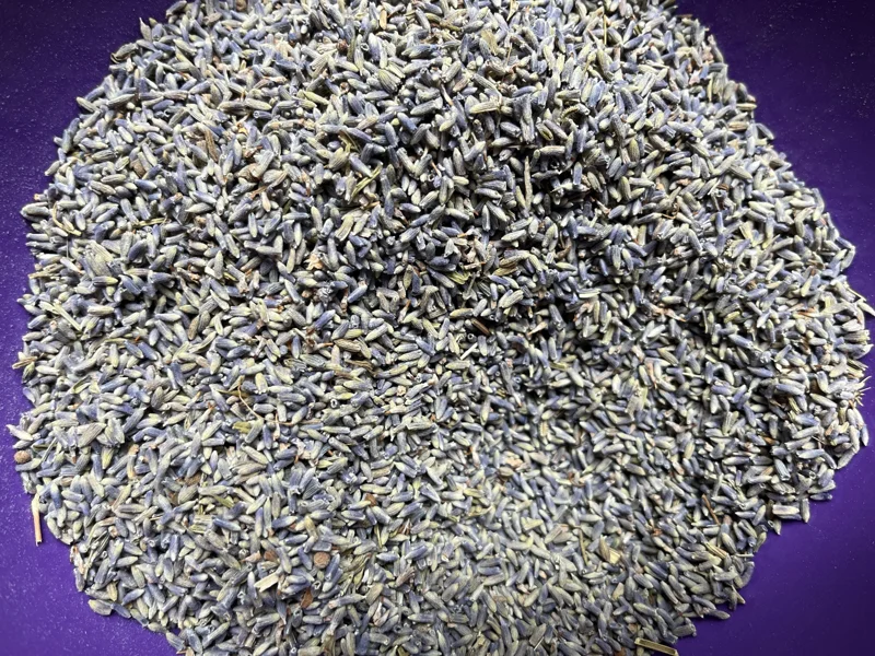 Organic Lavender Buds - Dried Culinary Grade for Skincare, Crafts & Home Fragrance - Image 1
