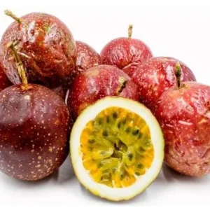 Panama Red Passion Fruit Live Plant - Passiflora Edulis, 4" Pot - Image 2