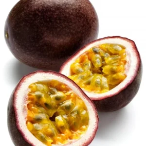 Passiflora Edulis Possum Purple Passion Fruit Live Plant - 4