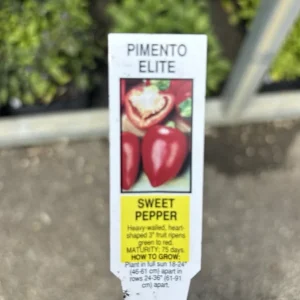 Pimento Elite Sweet Pepper Live Plants - 3 Pack, Ready to Plant, Garden & Patio - Image 2