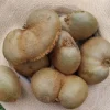 - Image 1