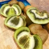 - Image 1