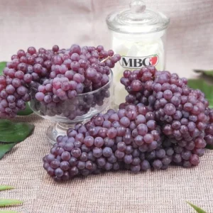 - Image 5