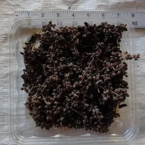 - Image 9