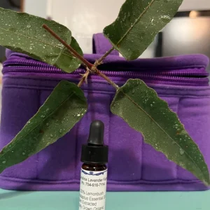Pure Eucalyptus Essential Oil - Organic, Steam Distilled, Aromatherapy - Image 2