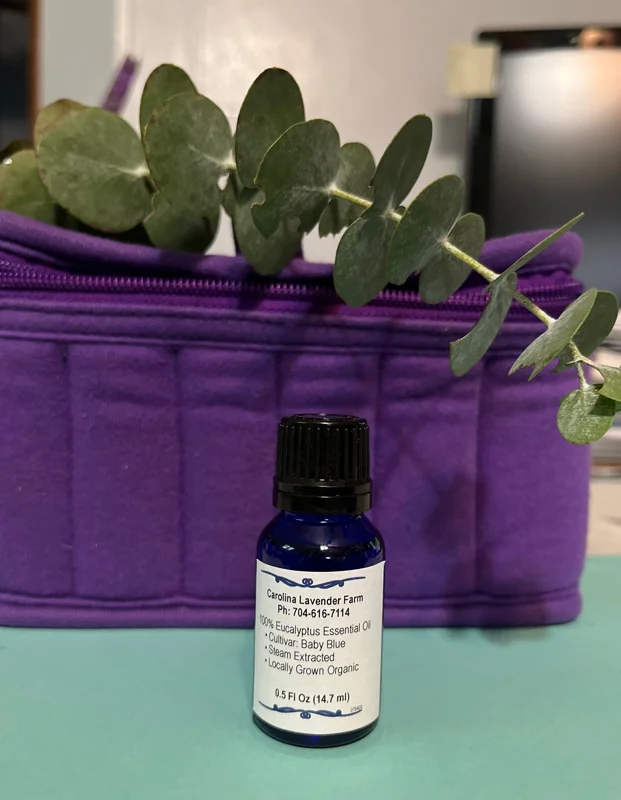 Pure Eucalyptus Essential Oil - Organic, Steam Distilled, Aromatherapy - Image 3