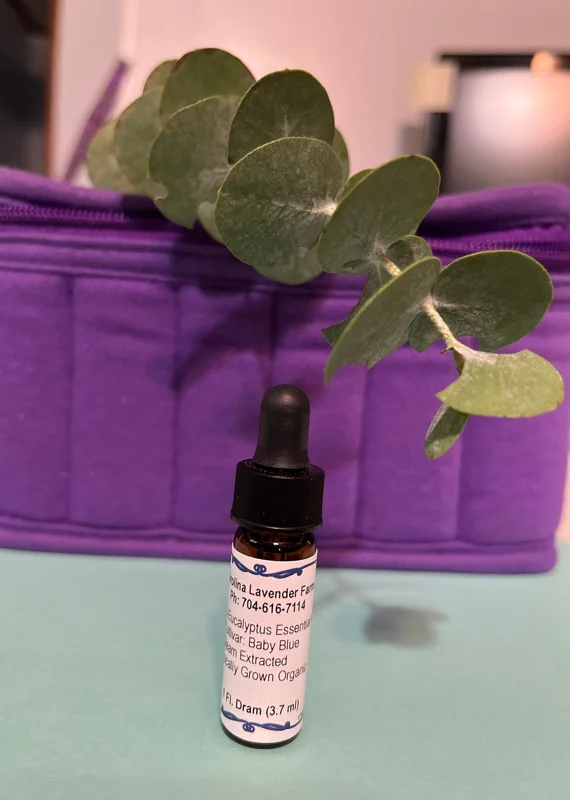 Pure Eucalyptus Essential Oil - Organic, Steam Distilled, Aromatherapy - Image 1