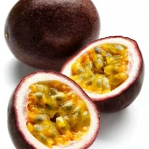 Purple Passion Fruit Live Plant - Starter Vine 4-6 Inches Tall - Edible Passiflora Possum - Image 4