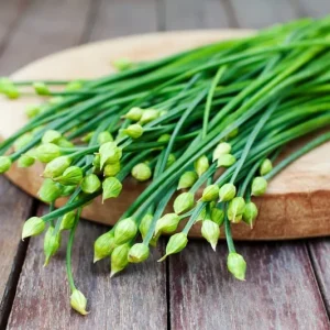 Set of 2 Garlic Chives Live Plant 4in Tall - Culinary Herb - Image 3