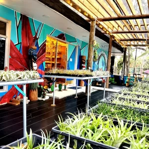 Shipping Heat Pack 40+ Hours – Plant Protection - Image 2
