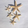 Tan Starfish Set of 10 - Beach Wedding Favors & Terrarium Decor - Image 1