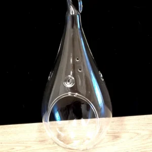 Teardrop Glass Terrarium Kit Set of 2 with 4 Air Plants & Beach Decor - Image 3