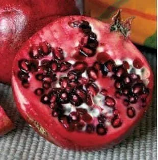 Wonderful Pomegranate Live Plant – Edible Fruit Tree – 6 inch Pot - Image 1