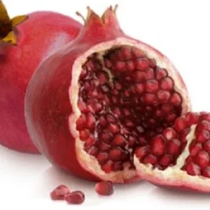 Wonderful Pomegranate Live Plant - Punica granatum - Edible Fruit, Deciduous, 6.5 in Tall - Image 2