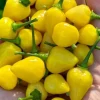 Yellow Jelly Bean Fire Super Hot Pepper Live Plants - 3 Pack, 4-8 inches tall - Image 1