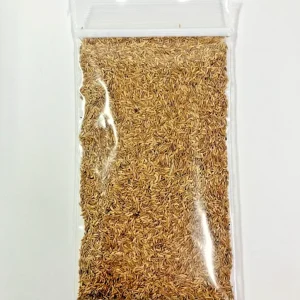 Zenith Zoysia Grass Seeds - 1 Ounce (12,000+ Seeds) for Low-Maintenance Lawn - Image 1