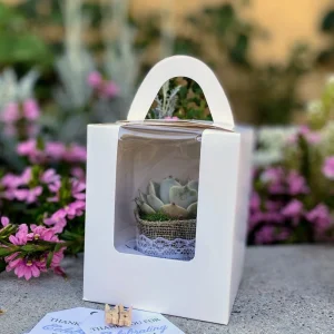 24/50 Pack Live Succulent Plant Favors with Burlap & Tags - 2