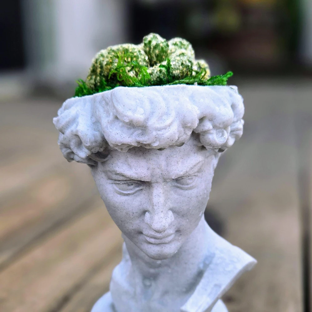 3D Printed David Planter Pot with 4" Brain Cactus - Marble Finish Planter & Live Plant - Image 10
