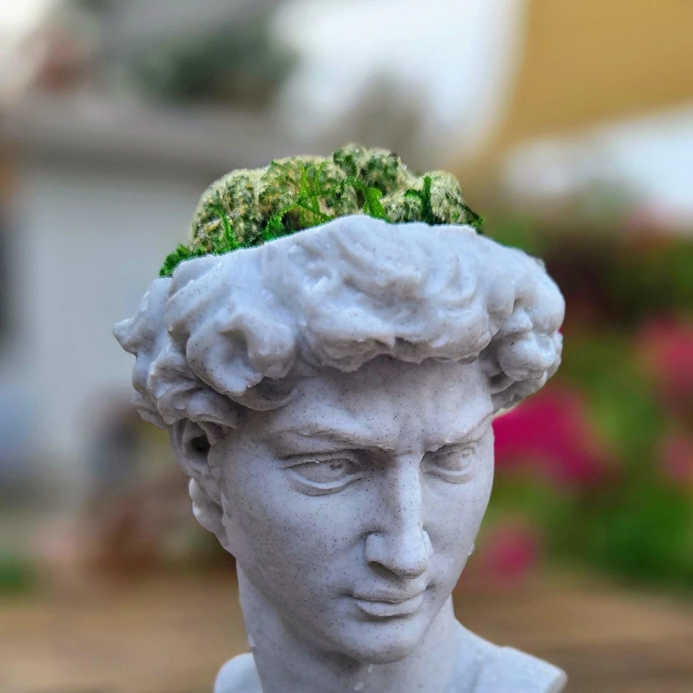 3D Printed David Planter Pot with 4" Brain Cactus - Marble Finish Planter & Live Plant - Image 11