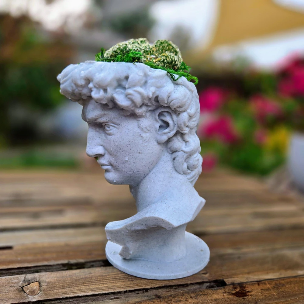 3D Printed David Planter Pot with 4" Brain Cactus - Marble Finish Planter & Live Plant - Image 12