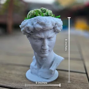 3D Printed David Planter Pot with 4" Brain Cactus - Marble Finish Planter & Live Plant - Image 7