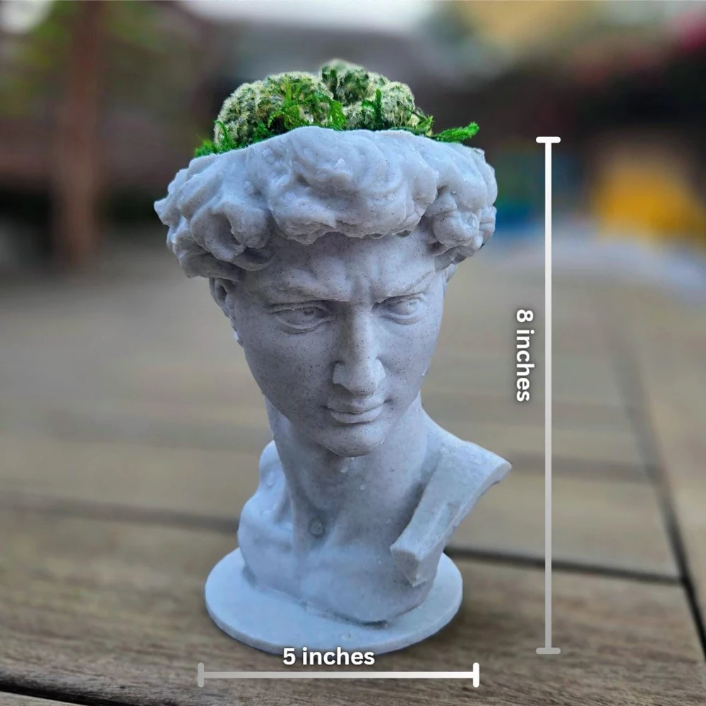 3D Printed David Planter Pot with 4" Brain Cactus - Marble Finish Planter & Live Plant - Image 7