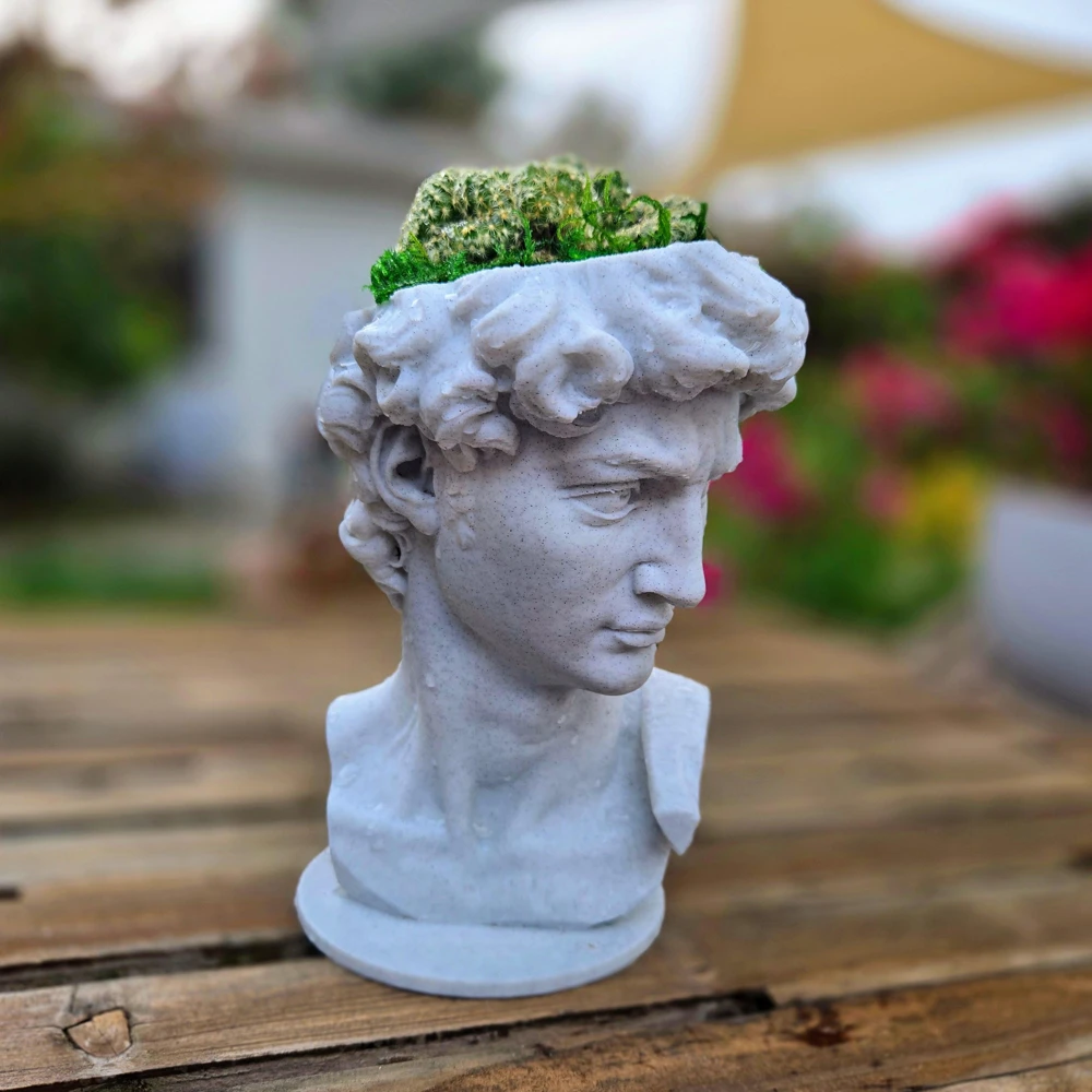 3D Printed David Planter Pot with 4" Brain Cactus - Marble Finish Planter & Live Plant - Image 8