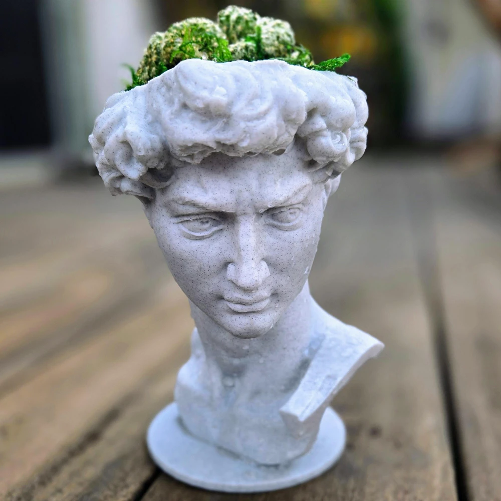 3D Printed David Planter Pot with 4" Brain Cactus - Marble Finish Planter & Live Plant - Image 9