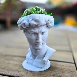 3D Printed David Planter Pot with 4" Brain Cactus - Marble Finish Planter & Live Plant - Image 1