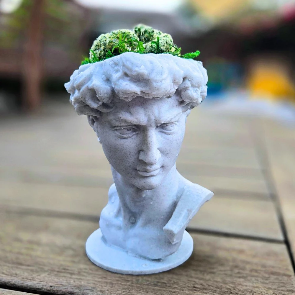 3D Printed David Planter Pot with 4" Brain Cactus - Marble Finish Planter & Live Plant - Image 1