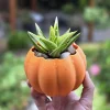 3D Printed Pumpkin Pot with Variegated Aloe Vera Live Plant - 5 inch - Image 1