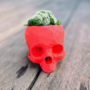 3D Printed Skull Planter - Eco-Friendly PLA Decor - Small 4