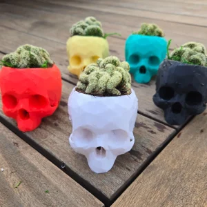 3D Printed Skull Planter - Eco-Friendly PLA Decor - Small 4