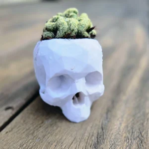 3D Printed Skull Planter - Eco-Friendly PLA Decor - Small 4