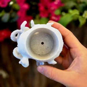 3D Printed Skull Planter with Brain Cactus - PLA Eco-Friendly Decor - Image 10