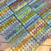 Assorted Succulent Favors - Live Plants - 2 inch Pot - Colorful Bridal Shower & Wedding Decor - Image 1