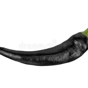 Black Cobra Chili Pepper Live Plant – 4