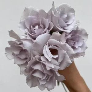 Blue Vague Rose Live Plant - Light Purple Double Flowers, Multi-Season Blooming, 120 cm Height - Image 2
