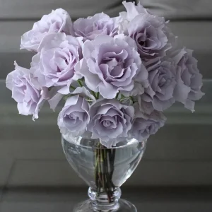 Blue Vague Rose Live Plant - Light Purple Double Flowers, Multi-Season Blooming, 120 cm Height - Image 1