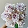 Bounty Way Rose Live Plant - Light Purple Repeat Bloomer - 10-12 cm Flowers - Image 1